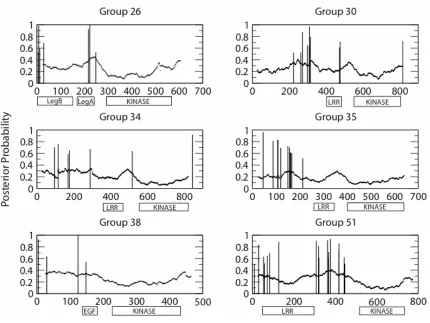 Figure 3b.  Location and posterior probability of positively selected sites in groups with 
