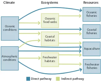 Figure 1.2 The two pathways used to develop scenarios for the exposure of the various fisheries resources and aquaculture in the tropical Pacific to climate change.
