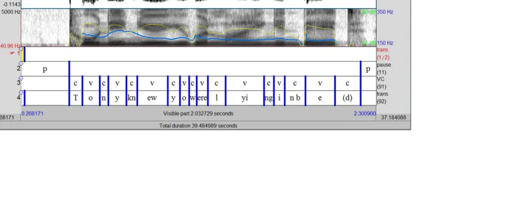 Figure 1: Screenshot of a Praat Window showing the analysis tiers for the rhythmic analysis