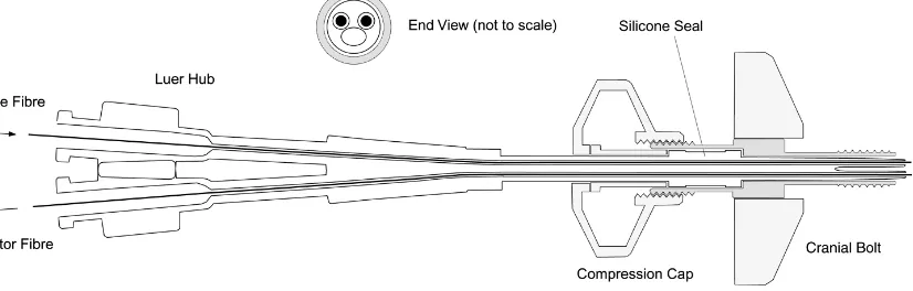 Fig. 1. IM-3 cranial bolt with optical fibres inserted. 