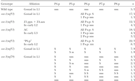 TABLE 2