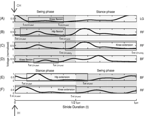 Figure 5. Identifying features of the transfer function coefficients which correspond to muscle activity promoting knee and hipflexion/extension in human walking.coefficients were then used in an FIR filter to control motors in RunBot’s hip and knee using 