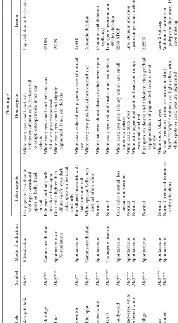TABLE 1