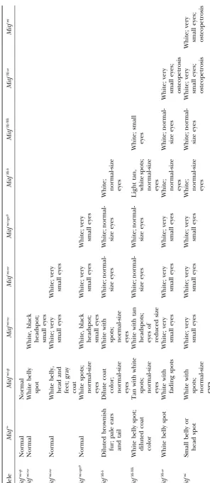 TABLE 2