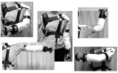 Figure 2.18 PMC Upper-arm movements 