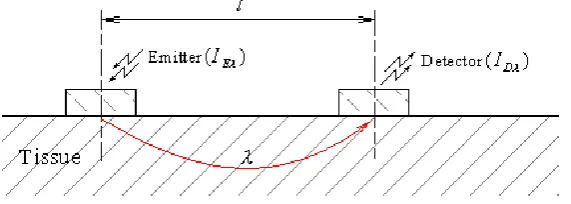 Figure 2: Tissue optic radiation back scattering model. 