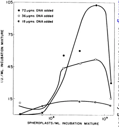 FIG. 1.andDNAconstant.unitsof100millilitertimes total Relationshipbetweeninfectiousunits per of incubation mixture and the amount of Ti added to the mixture