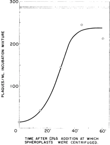 FIG. 7. these Penetrationi of Ti DNA experiments, the rate of' entry