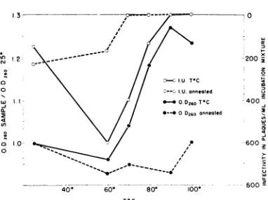 FIG. 9.pHquenchedNa3annealedadjustedheatedsolutionmentsTiThesosample.W-3350/X, thatOptical densityat260 myi and infectivity ofDNAasa functionof temperature.ATlDNA of 24 jg per ml was used for this experiment