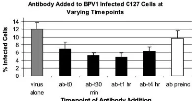 FIG. 7. The ability of �after virus has bound to the target cells. C127 cells were infected withBPV1 pseudovirions containing the 8fwb GFP plasmid and analyzed byFACS