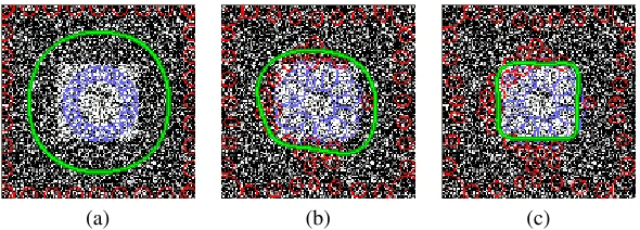 Figure 4. Segmentation of a noisy image. In (a) through (c), we show the evolution of anisotropic RBFs at different time steps untilconvergence (c)