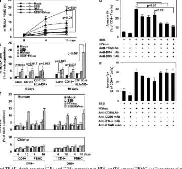FIG. 2. TRAIL and TRAIL death receptor (DR4 and DR5) expression in HIV- or SIV-exposed PBMC