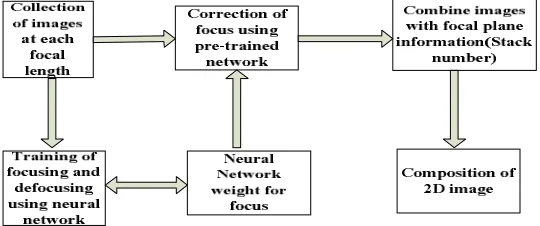 Figure 3 Shows the Block diagram of Focus Correction in Standard Compound Light Microscope   