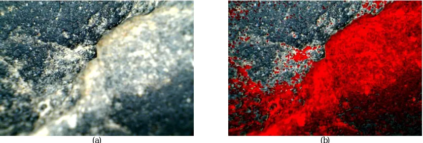 Figure 4(a) Shows Fully Focused Digital Microscope Image of Flat Rock Grain. Figure 4(b) shows Fully Defocused Digital Microscope Image of Flat Rock Grain 