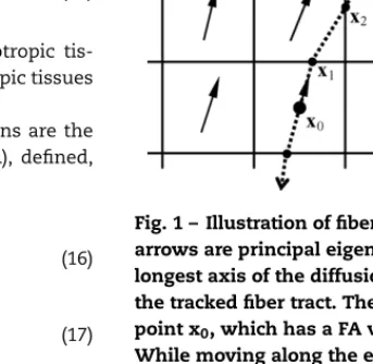 Fig. 1 – Illustration of ﬁber tracking algorithm. The black arrows are principal eigenvectors which correspond to the longest axis of the diffusion ellipsoid