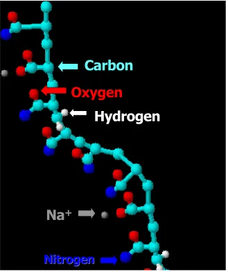 Figure 1.5 Molecular structure of anionic PAM.  