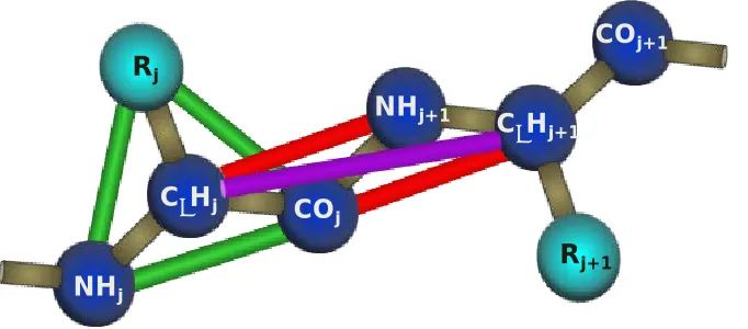 Figure 2. 2  contains two beta sheets.peptide chains, ARepresentation of various structures – M is a free monomer, B4 is a beta sheet with four 5 is an amorphous aggregate consisting of five peptide chains, and F2 is a fibril that  