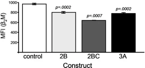 FIG. 5. Differing effects of three CVB3 proteins on levels of surfaceMHC class I heterodimers, as conﬁrmed by ﬂow cytometry