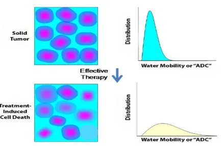 Figure 8: Relationship between change in cellular density following an effective therapy and the 