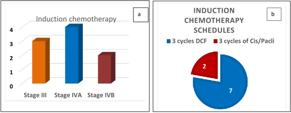 Figure 11: T and N stage of the patients are summarized 