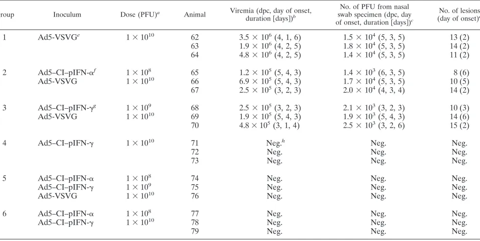 TABLE 4. Induction of ISGs by pIFN-�, pIFN-�, and the combination of pIFN-� and pIFN-�