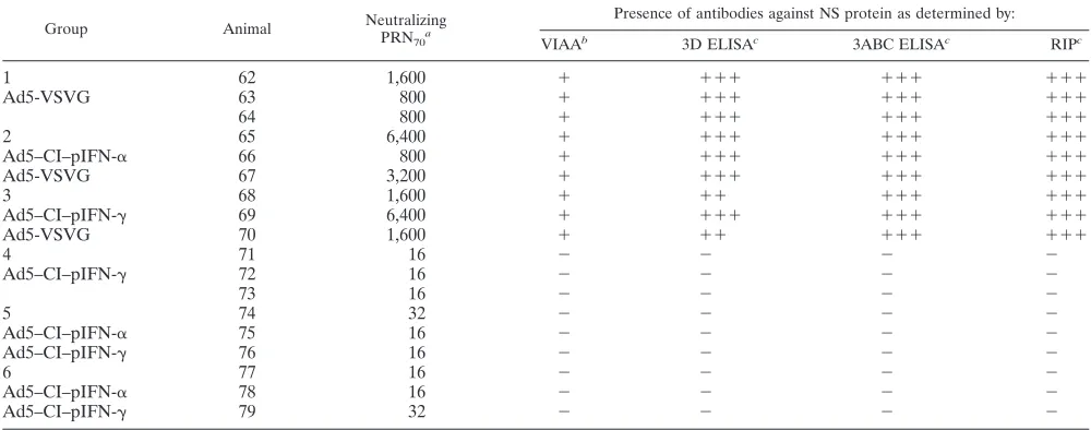 TABLE 6. Antibody response against FMDV A24 in swine at 21 dpc