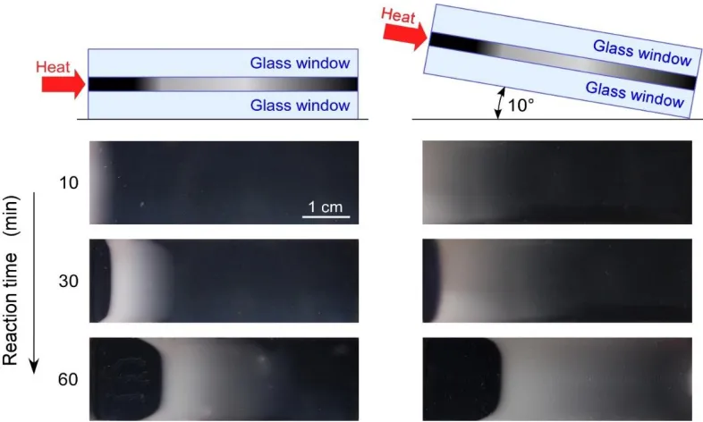 Figure 3.7. Comparison of front profiles of a 0.4 mm thick horizontal setup and one that is inclined horizontally at 10 degrees (top views)