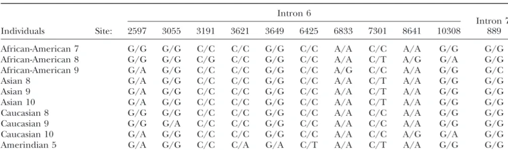 TABLE 3