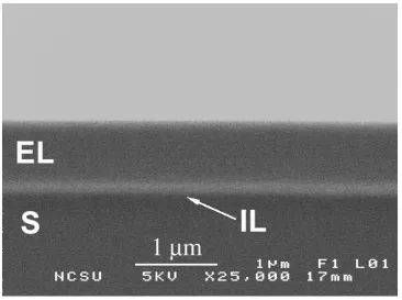 Figure 2.  Cross-sectional SEM micrograph of the epitaxial layer (EL), in-situ deposited 