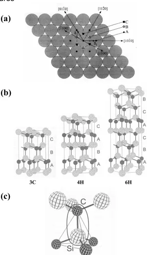 Figure 1.   (a) Representation of atoms in “A-sites” (black circles) on close-packed planes