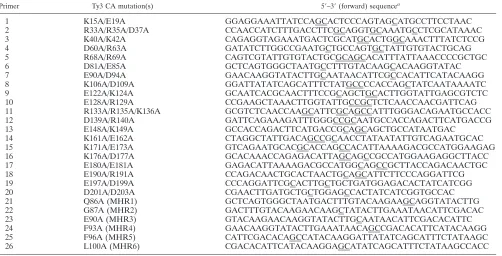 TABLE 1. Primers used to create CA mutations