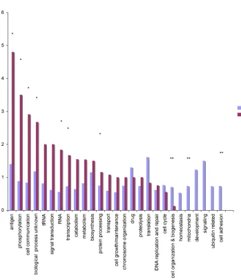 Figure 2-1. The ratios of nonsynonymous and synonymous polymorphisms ( pn/ps) and divergence (dn/ds) for genes grouped by Gene Ontology