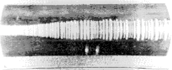 Fig. 1  Surface Roughness of a Ball Bearing Race due to Electrical Fluting [2] .