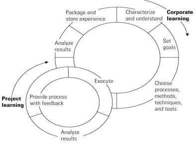 Figure (1)  The Quality Improvement Paradigm (QIP) 