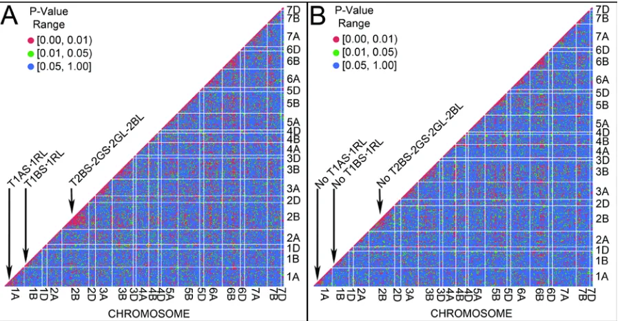 Figure 2.5. Heatmap of the significance of linkage disequilibrium (r2) between all pairs of markers when A) including all individuals and B) excluding individuals known to carry one or more alien translocations.