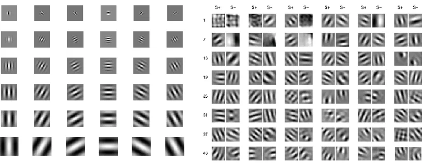 Figure 6: Gabor wavelets representation and the overview of optimal excitatory and inhibitory stimuli (S+ res