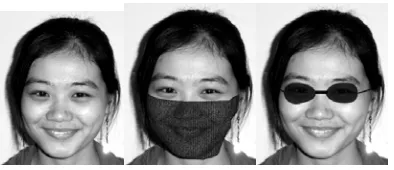 Figure 2: Pose variations problem: face images are taken from different postures of the object (source NTU Asian Emotion Database http://www3.ntu.edu.sg/SCE/labs/forse/Asian%20Emotion%20Database.htm)   