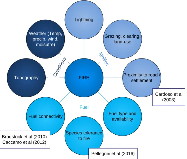 Figure 1: Simple diagram showing the main factors influencing forest fires, and references to key  literature