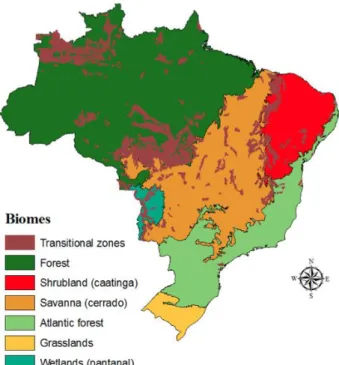 Figure 1.3: Distribution of biomes and transition zones of Brazil  Source: Brazilian Institute of Geography and Statistics (IBGE) 