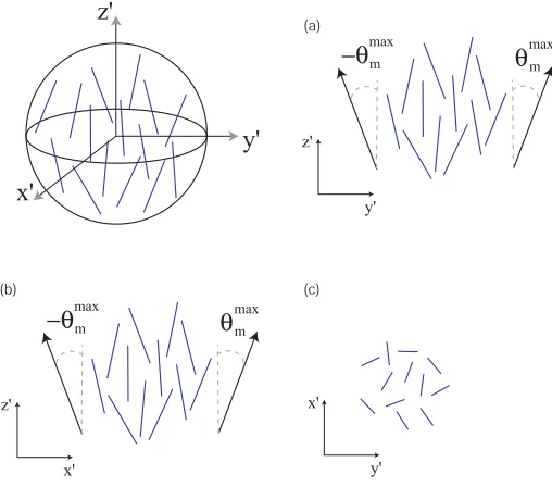FIG. 5: A biaxial distribution of molecules. Viewed along the three local axes the scalar order parameter, i.e