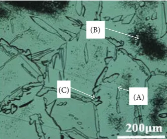 Table 3: Classification of etched structure in oxalic acid electrolyticetch [16].