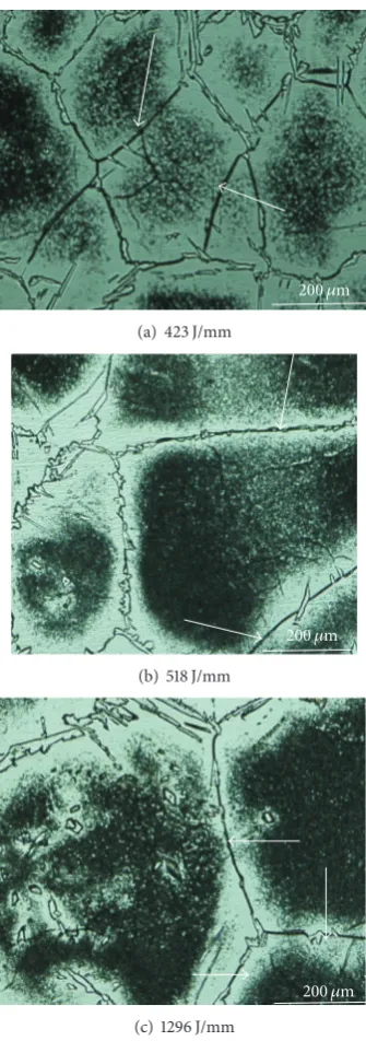 Figure 7: Microstructure of the HTHAZ of cryocooled weld etchedelectrolytically in 10% oxalic acid.