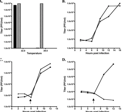FIG. 3. Growth characteristics of TS mutant icTS-LA6. (A) A plaque assay was performed to determine if icTS-LA6 produced plaques at thepermissive and nonpermissive temperatures