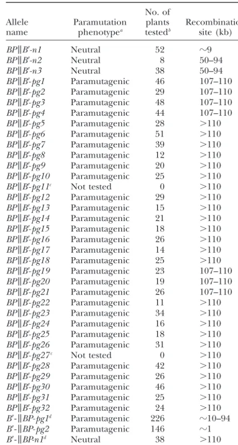 Figure 6.—Recombination mapping strategy. To identifythe 5 and 3 boundary of the region containing the paramuta-