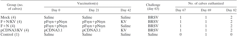 TABLE 1. Study design