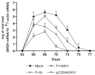FIG. 7. Evolution of viral load in BAL ﬂuids. Virus load was de-termined by real-time RT-PCR in BAL ﬂuid samples collected on days