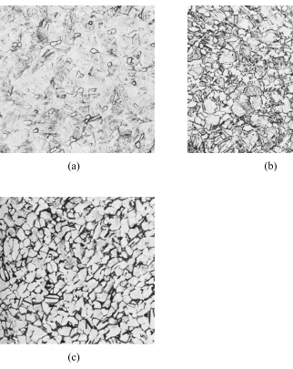 Figure 2.3:  Micrographs of Ti-6Al-4V heat treated below the β transus at 954°C 