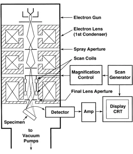 Figure 4.2:  Diagram displaying the major components of the scanning electron 