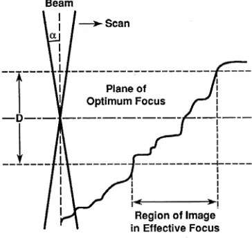 Figure 4.3:  Schematic representation of the depth of focus in an SEM image [2]. 