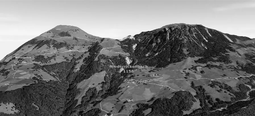 Figure 1: Monchrome reproduction of 3D visualization used in the experiments. This example view includes a marked hiking route, place names and height labels 